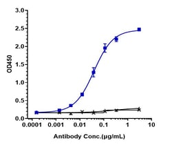 Invitrogen Simtuzumab Recombinant Monoclonal Antibody 1 mg; Unconjugated:Antibodies,