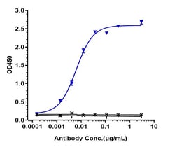 Invitrogen Narsoplimab Recombinant Monoclonal Antibody 100 &mu;g, Unconjugated:Antibodies,