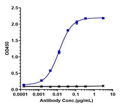 Invitrogen Amatuximab Recombinant Monoclonal Antibody:Anticorps:Anticorps