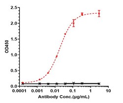 Invitrogen Anetumab Recombinant Monoclonal Antibody 1 mg; Unconjugated:Antibodies,