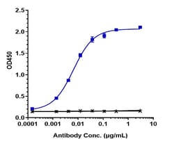 Invitrogen Andecaliximab Recombinant Monoclonal Antibody:Antibodies:Primary