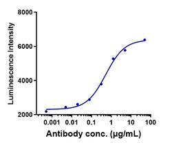 Invitrogen Monalizumab Recombinant Monoclonal Antibody 1 mg; Unconjugated:Antibodies,