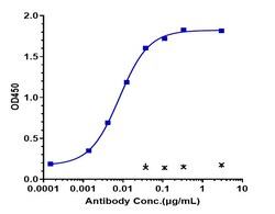 Invitrogen Pepinemab Recombinant Monoclonal Antibody 100 &mu;g:Antibodies,
