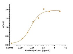 Invitrogen Semorinemab Recombinant Monoclonal Antibody 100 &mu;g, Unconjugated:Antikörper