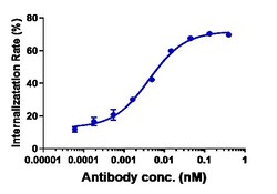 Invitrogen Sacituzumab Recombinant Monoclonal Antibody:Antibodies:Primary