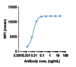 Invitrogen Cannabinoid Receptor 1 Biosimilar Recombinant Monoclonal Antibody