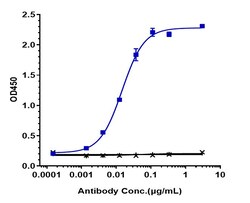 Invitrogen Anifrolumab Recombinant Monoclonal Antibody 100 &mu;g; Unconjugated:Antibodies,