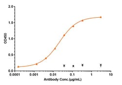 Invitrogen C1QA Biosimilar Recombinant Monoclonal Antibody 1 mg; Unconjugated:Antikörper