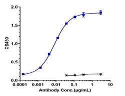 Invitrogen Indusatumab Recombinant Monoclonal Antibody 100 &mu;g; Unconjugated:Antikörper