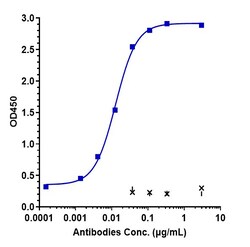 Invitrogen DLK1 Biosimilar Recombinant Monoclonal Antibody 1 mg; Unconjugated:Antibodies,