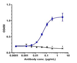 Invitrogen Sirtratumab Recombinant Monoclonal Antibody 1 mg; Unconjugated:Antikörper