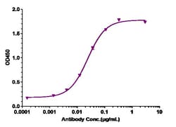 Invitrogen c-Kit (CD117) Biosimilar Recombinant Monoclonal Antibody:Antikroppar:Primära