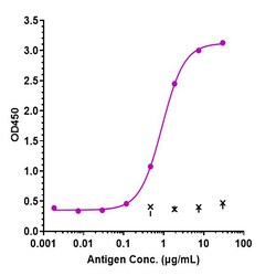 Invitrogen Eculizumab Recombinant Monoclonal Antibody:Antibodies:Primary