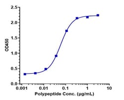 Invitrogen Gantenerumab Recombinant Monoclonal Antibody 1 mg; Unconjugated:Antibodies,