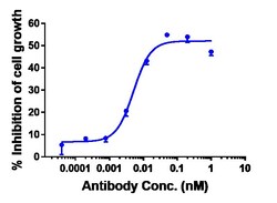 Invitrogen Tilvestamab Recombinant Monoclonal Antibody 1 mg; Unconjugated:Antibodies,