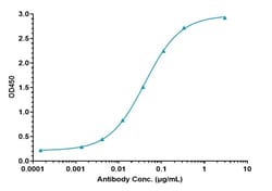 Invitrogen Nimacimab Recombinant Monoclonal Antibody 1 mg; Unconjugated:Antibodies,