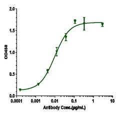 Invitrogen beta Amyloid Biosimilar Recombinant Monoclonal Antibody 100