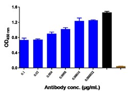 Invitrogen Ibalizumab Recombinant Monoclonal Antibody 1 mg; Unconjugated:Antibodies,