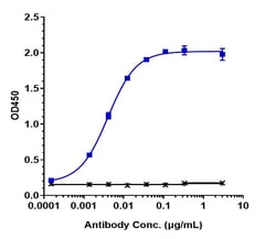 Invitrogen Tusamitamab Recombinant Monoclonal Antibody 1 mg; Unconjugated:Antikörper