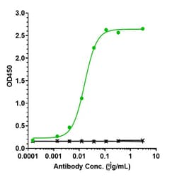 Invitrogen Elsilimomab Recombinant Monoclonal Antibody 100 &mu;g:Antibodies,