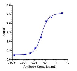 Invitrogen Litifilimab Recombinant Monoclonal Antibody 1 mg; Unconjugated:Antibodies,