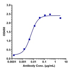 Invitrogen Ravulizumab Recombinant Monoclonal Antibody 1 mg; Unconjugated:Antibodies,