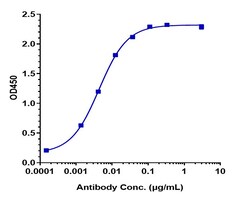 Invitrogen Tremelimumab Recombinant Monoclonal Antibody 100 &mu;g; Unconjugated:Antibodies,