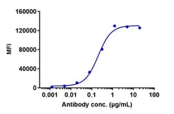 Invitrogen Zalutumumab Recombinant Monoclonal Antibody 1 mg; Unconjugated:Antibodies,