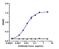 Invitrogen Barecetamab Recombinant Monoclonal Antibody 1 mg; Unconjugated:Antikörper
