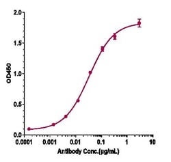 Invitrogen beta Amyloid Biosimilar Recombinant Monoclonal Antibody 1 mg;