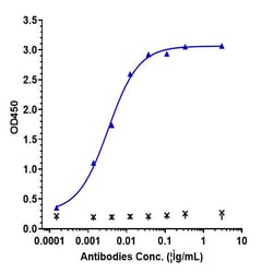 Invitrogen IFN gamma Biosimilar Recombinant Monoclonal Antibody 1 mg; Unconjugated:Antibodies,