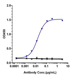 Invitrogen Talizumab Recombinant Monoclonal Antibody 1 mg; Unconjugated:Antikörper