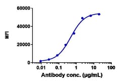 Invitrogen Ocrelizumab Recombinant Monoclonal Antibody:Anticorps:Anticorps