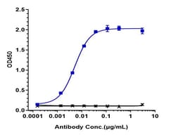 Invitrogen Ladiratuzumab Recombinant Monoclonal Antibody 1 mg; Unconjugated:Anticorps,