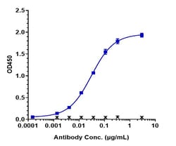 Invitrogen Orilanolimab Recombinant Monoclonal Antibody 1 mg; Unconjugated:Antibodies,