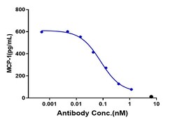 Invitrogen Vixarelimab Recombinant Monoclonal Antibody 1 mg; Unconjugated:Antibodies,