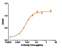 Invitrogen Prolactin Receptor Biosimilar Recombinant Monoclonal Antibody