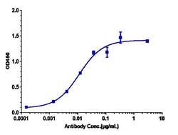 Invitrogen Solanezumab Recombinant Monoclonal Antibody 100 &mu;g:Antibodies,