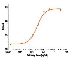 Invitrogen GM-CSF Biosimilar Recombinant Monoclonal Antibody 1 mg; Unconjugated:Antibodies,