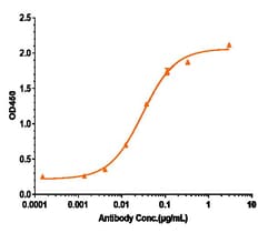 Invitrogen GM-CSF Biosimilar Recombinant Monoclonal Antibody 1 mg; Unconjugated:Antibodies,