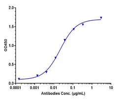 Invitrogen Tilavonemab Recombinant Monoclonal Antibody:Antibodies:Primary