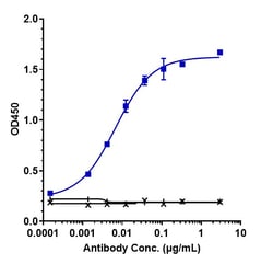 Invitrogen Tozorakimab Recombinant Monoclonal Antibody 100 &mu;g; Unconjugated:Antibodies,