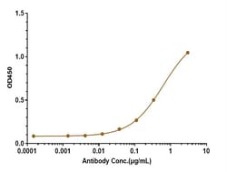 Invitrogen beta Amyloid Biosimilar Recombinant Monoclonal Antibody 100