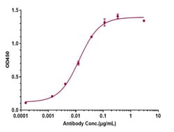 Invitrogen beta Amyloid Biosimilar Recombinant Monoclonal Antibody 100