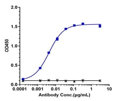 Invitrogen Gemtuzumab Recombinant Monoclonal Antibody 1 mg; Unconjugated:Antibodies,