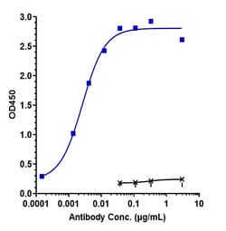 Invitrogen CD98 Biosimilar Recombinant Monoclonal Antibody:Antibodies:Primary