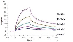 Invitrogen TREM2 Biosimilar Recombinant Monoclonal Antibody 100 &mu;g;