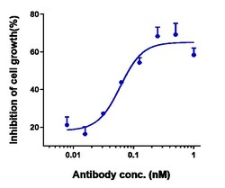 Invitrogen ADAM9 Biosimilar Recombinant Monoclonal Antibody 1 mg; Unconjugated:Antibodies,