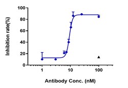 Invitrogen Faricimab Humanized Recombinant Human Monoclonal Antibody:Antibodies:Primary