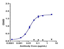 Invitrogen Vanucizumab Recombinant Human Monoclonal Antibody 1 mg; Unconjugated:Antibodies,